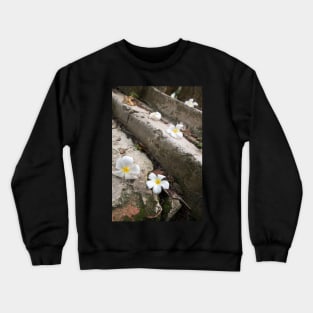 Frangipani - George Town, Malaysia Crewneck Sweatshirt